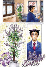 We Always Return (Ace Attorney) - p1/4