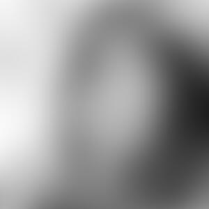 The SL-9 Files (Ace Attorney) - preview